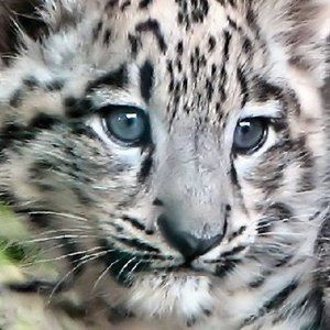 Meet your Posher, Eleanor